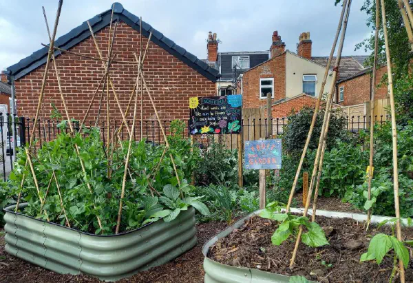 Cambridge Street Corner Garden