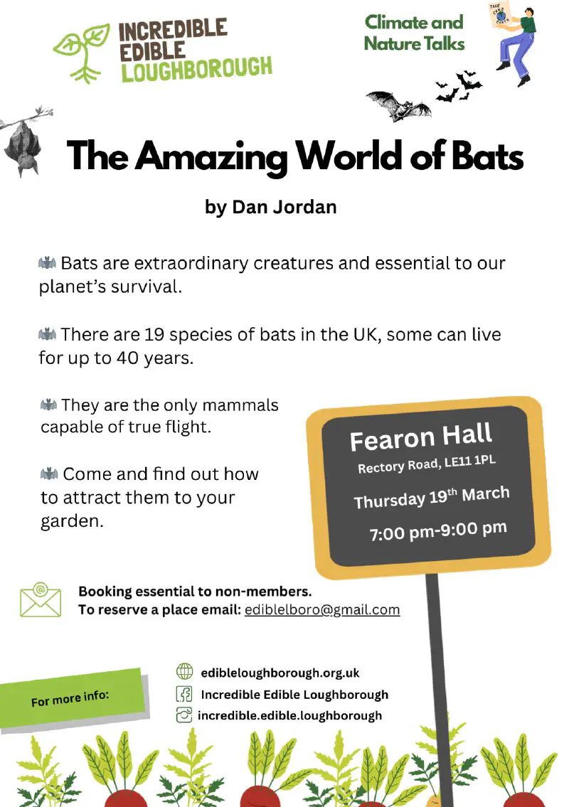 Amazing World of Bats